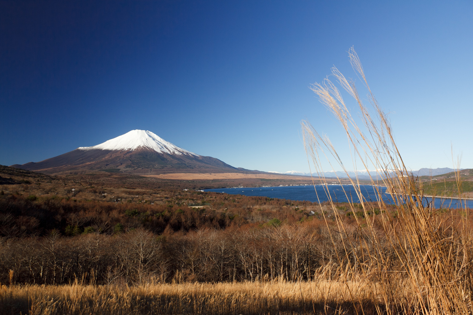 富士山と山中湖 Mt Fuji and Lake Yamanaka ko panoramio by shinohal, CC BY-SA 3.0, https://commons.wikimedia.org/w/index.php?curid=54312748