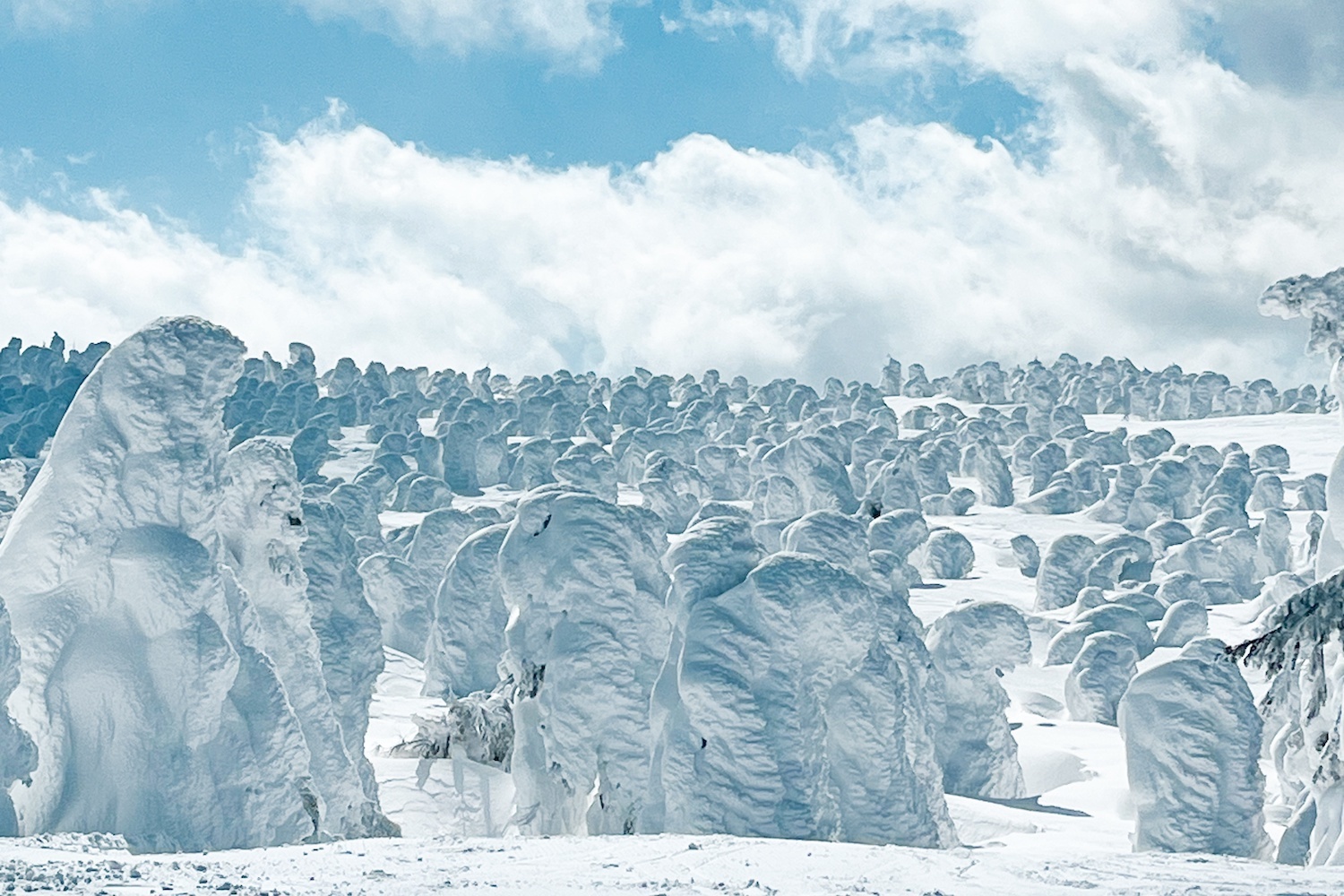 A view of the snow monster formation at Zao Onsen, Yamagata