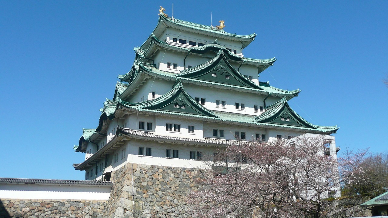 Historic Japanese castle in Nagoya with cherry blossoms and blue sky in spring