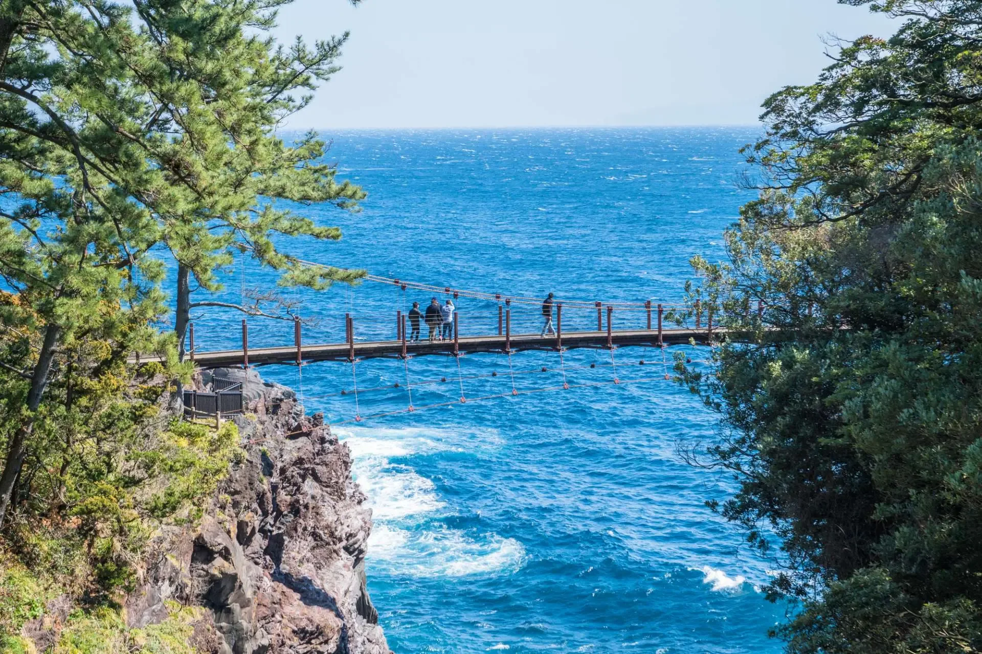 View of a rope bridge on Jogosaki Coast, Izu Kogen, Shizuoka, Japan