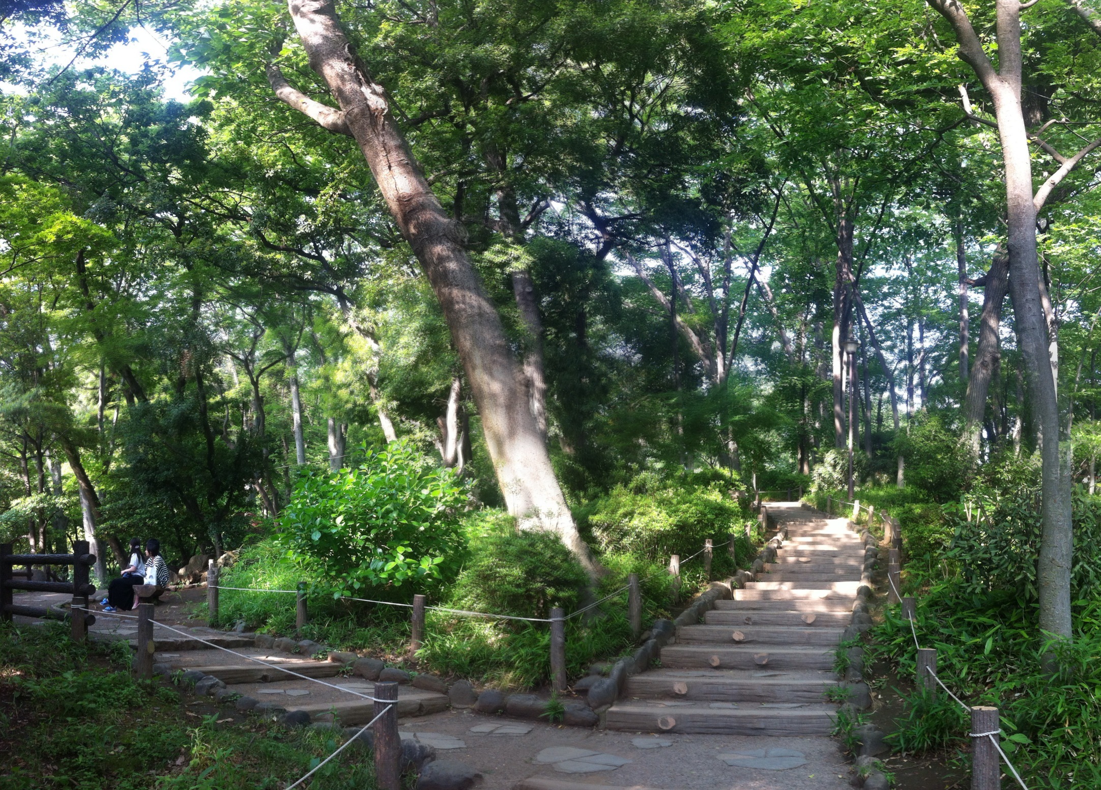 Arisugawa Park