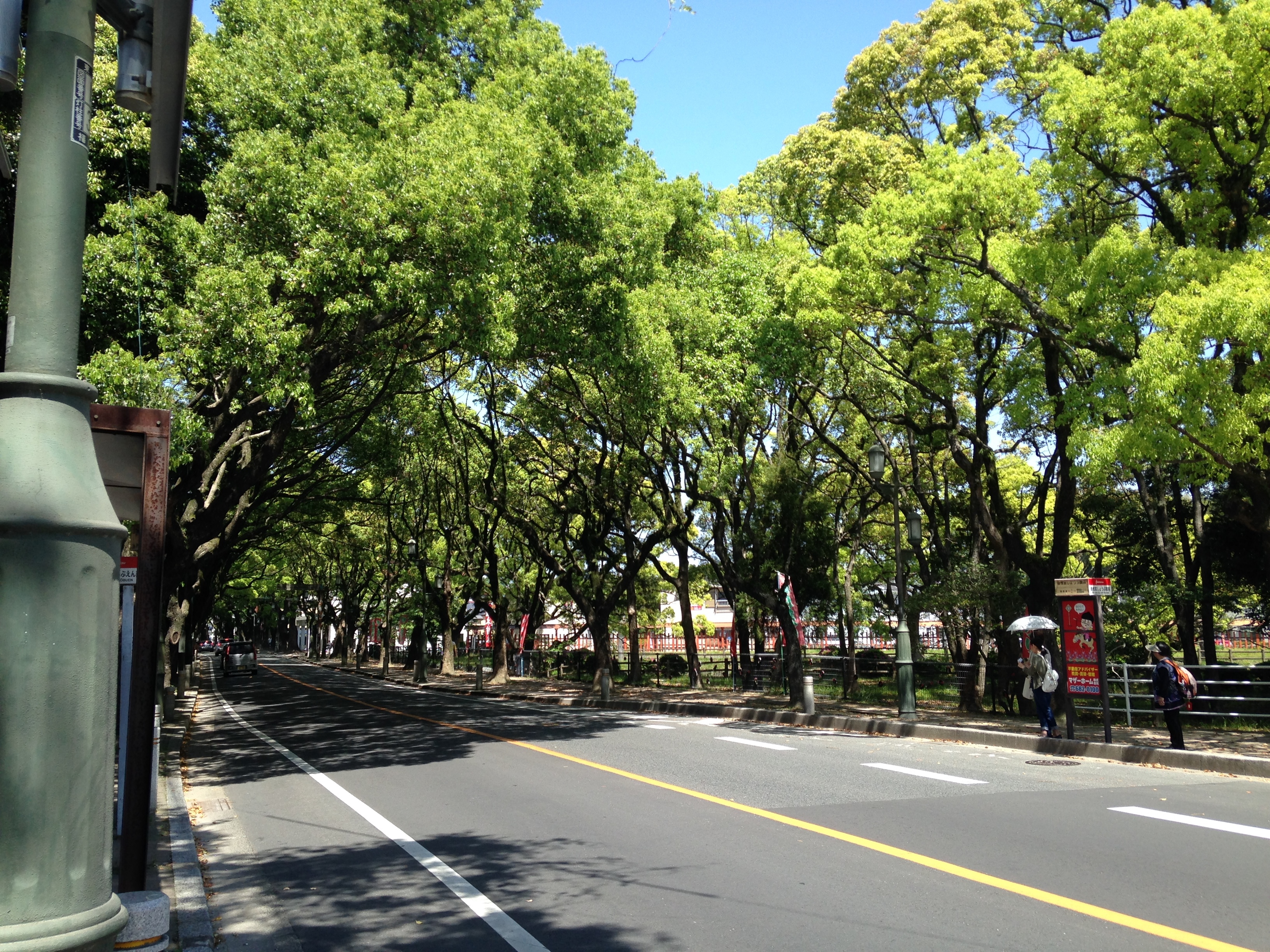 Kashii Sando Avenue near torii of Kashii Shrine by そらみみ (Soramimi) - Own work, CC BY-SA 4.0, https://commons.wikimedia.org/w/index.php?curid=39970008