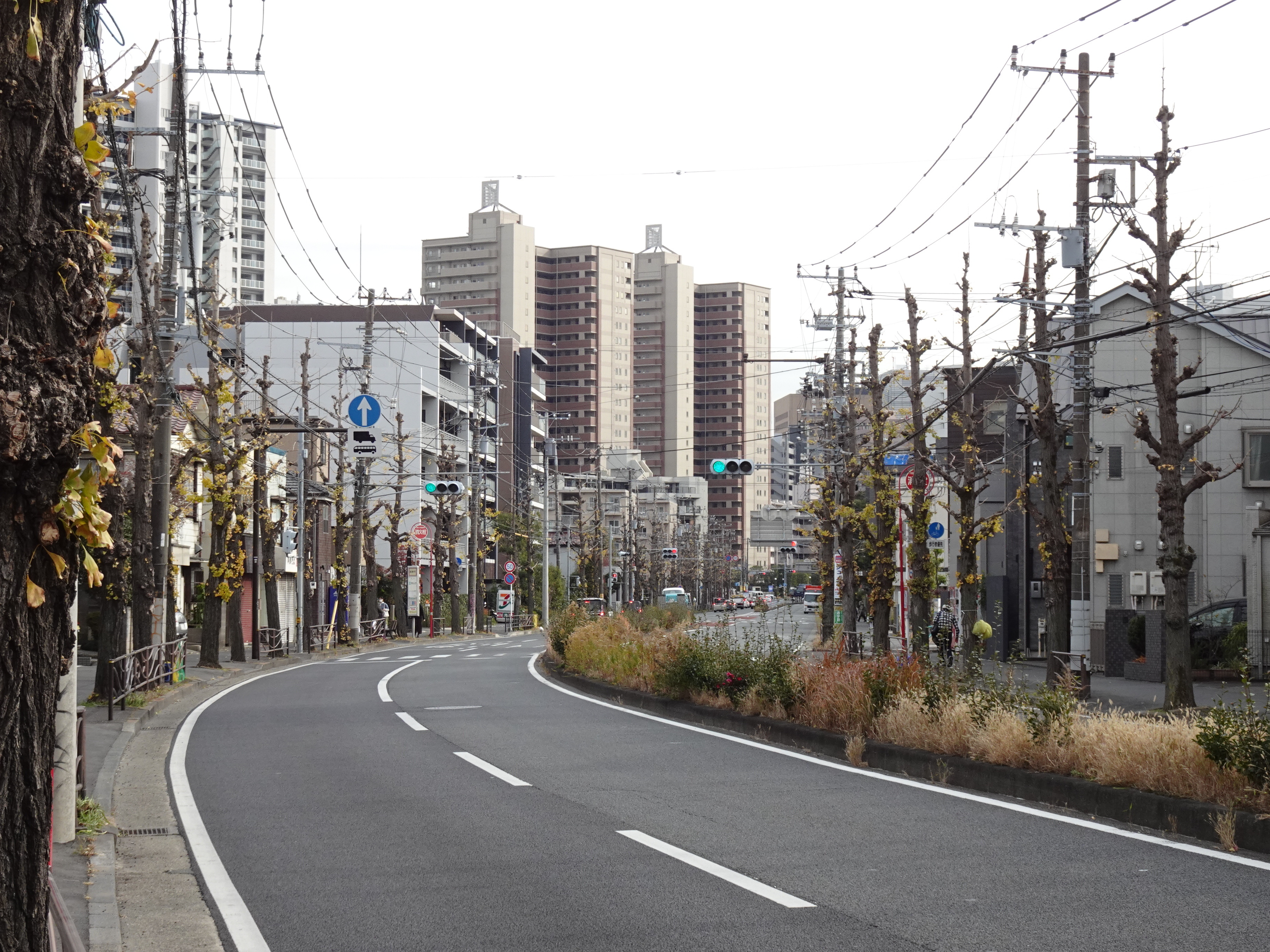 Kawasaki Kanagawa 2024  by RuinDig/Yuki Uchida - Own work, CC BY 4.0, https://commons.wikimedia.org/w/index.php?curid=158206924