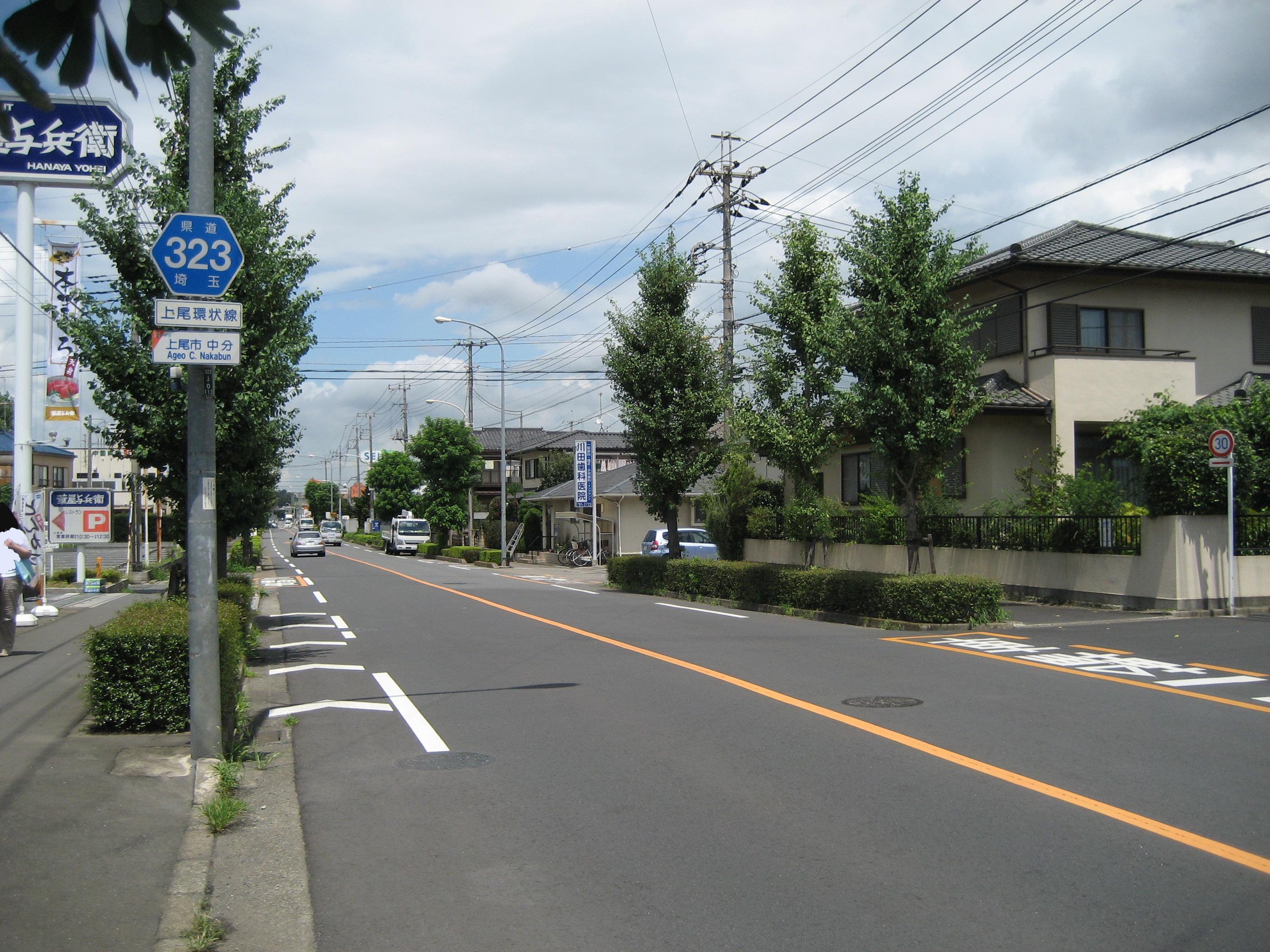 Saitamakendo no 323 ageo city 1 by Ebiebi2 - Own work, CC BY-SA 3.0, https://commons.wikimedia.org/w/index.php?curid=16003633