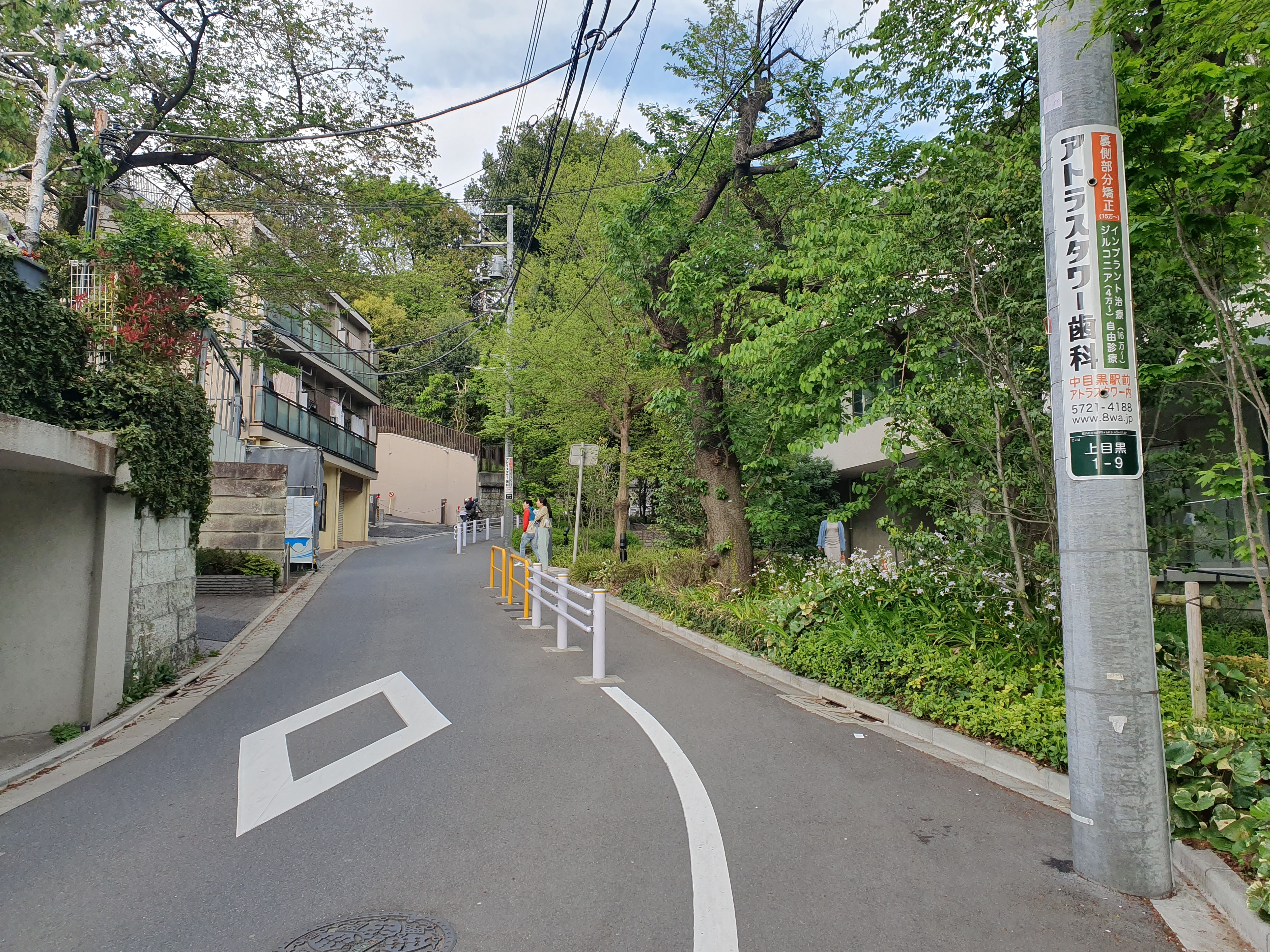 Walk in Nakameguro (Source: Wikipedia)
