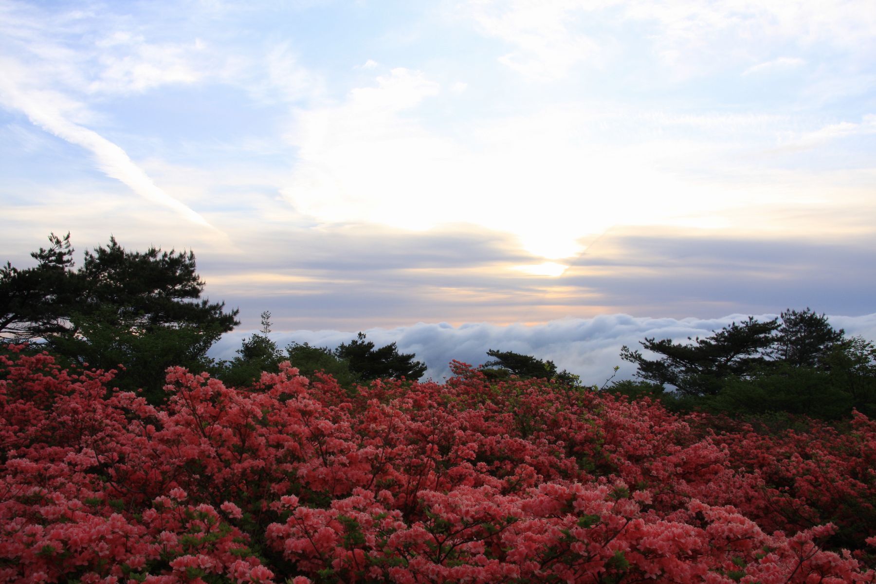View of the sky from Yumoto, Nasu, Nasu District, Tochigi Prefecture 325-0301, Japan

By taro gen, CC BY 3.0, https://commons.wikimedia.org/w/index.php?curid=54005223