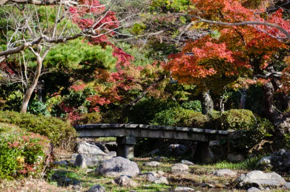 Momiji in Maruyama Park by Tomi Mäkitalo, CC BY-SA 3.0, https://commons.wikimedia.org/w/index.php?curid=55354508