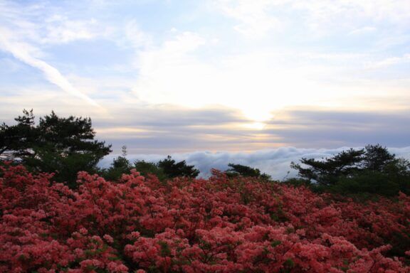 View of the sky from Yumoto, Nasu, Nasu District, Tochigi Prefecture 325-0301, Japan

By taro gen, CC BY 3.0, https://commons.wikimedia.org/w/index.php?curid=54005223