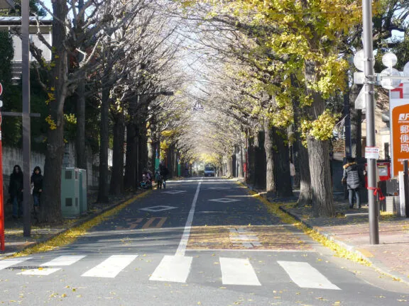 Den en chōfu street