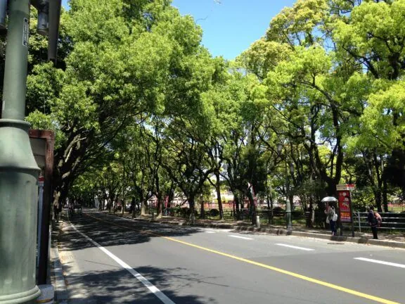 Kashii Sando Avenue near torii of Kashii Shrine by そらみみ (Soramimi) - Own work, CC BY-SA 4.0, https://commons.wikimedia.org/w/index.php?curid=39970008