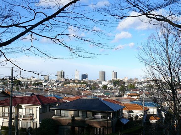 View of Tokorozawa from Hachikokuyama by Bryan MacKinnon (Bryanmackinnon at en.wikipedia) - Transferred from en.wikipedia to Commons., Public Domain, https://commons.wikimedia.org/w/index.php?curid=14375850