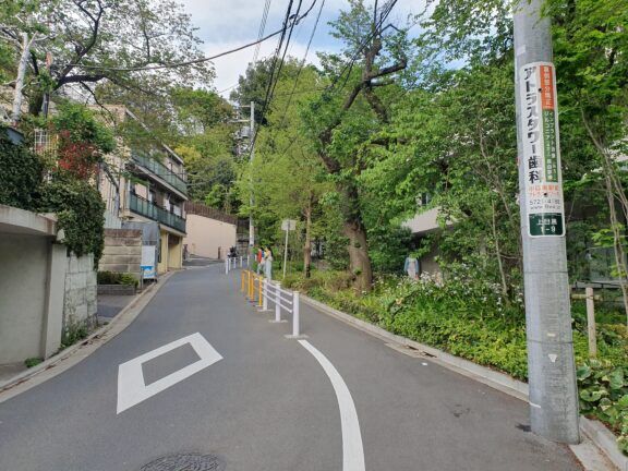 Walk in Nakameguro (Source: Wikipedia)