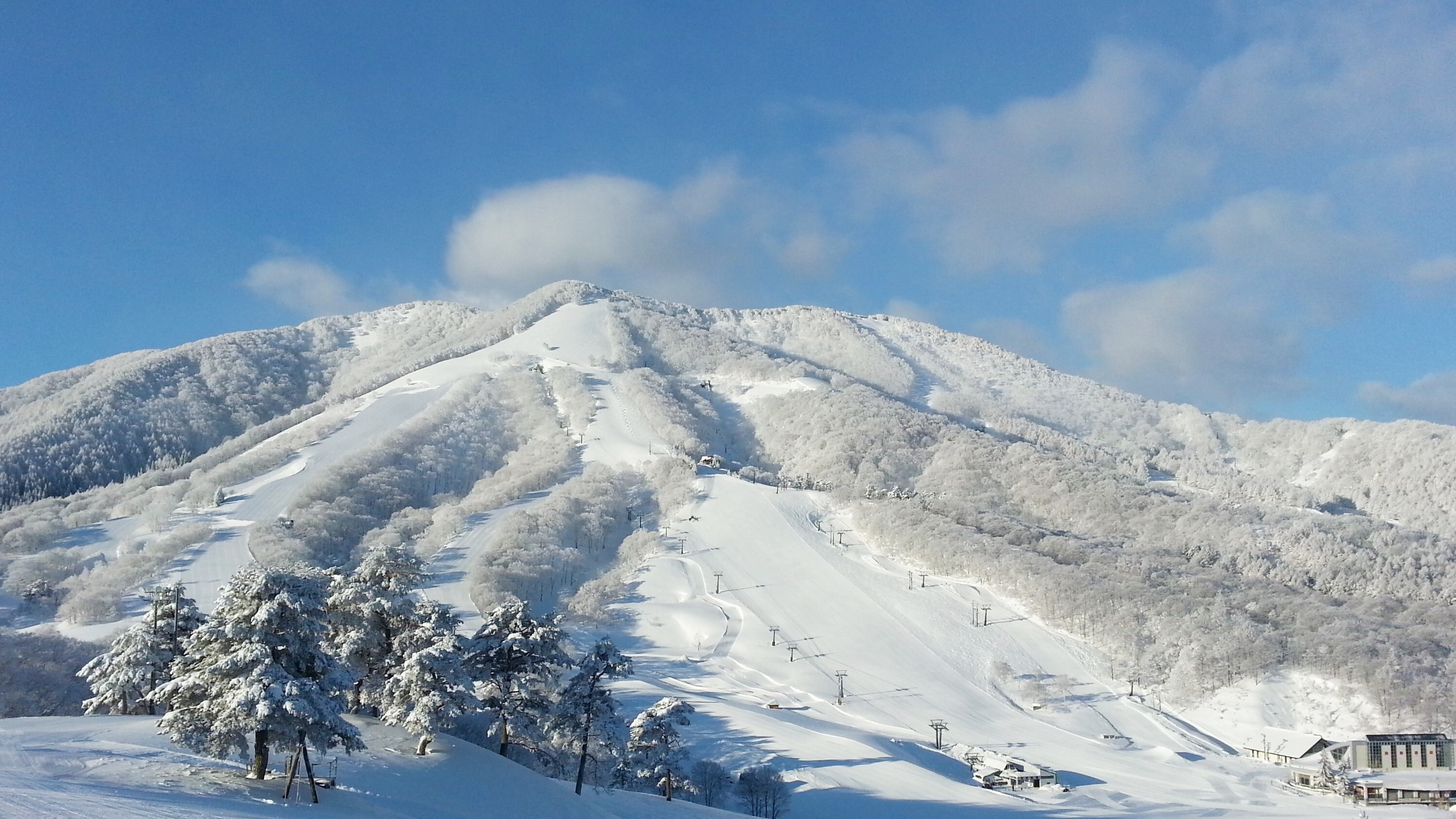 A view of the snowy slopes at Madarao Ski Resort