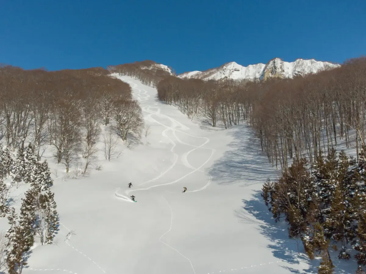 A view of the steep slopes of Myoko Suginohara Ski Resort in Myoko Kogen, Niigata